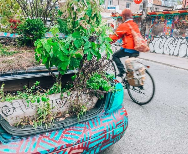 Cyclist biking through the Parked Park in kensington Market