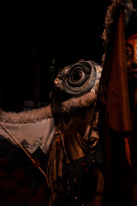 Winter Solstice Parade in Kensington market. An owl.